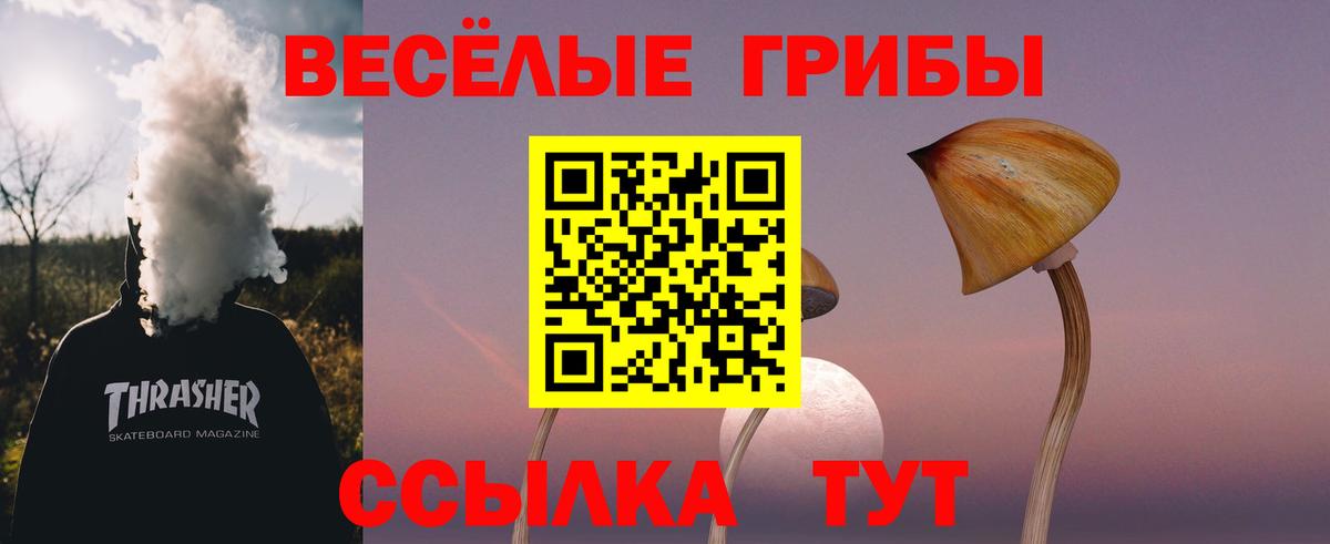 Галлюциногенные грибы Psilocybine cubensis Соликамск